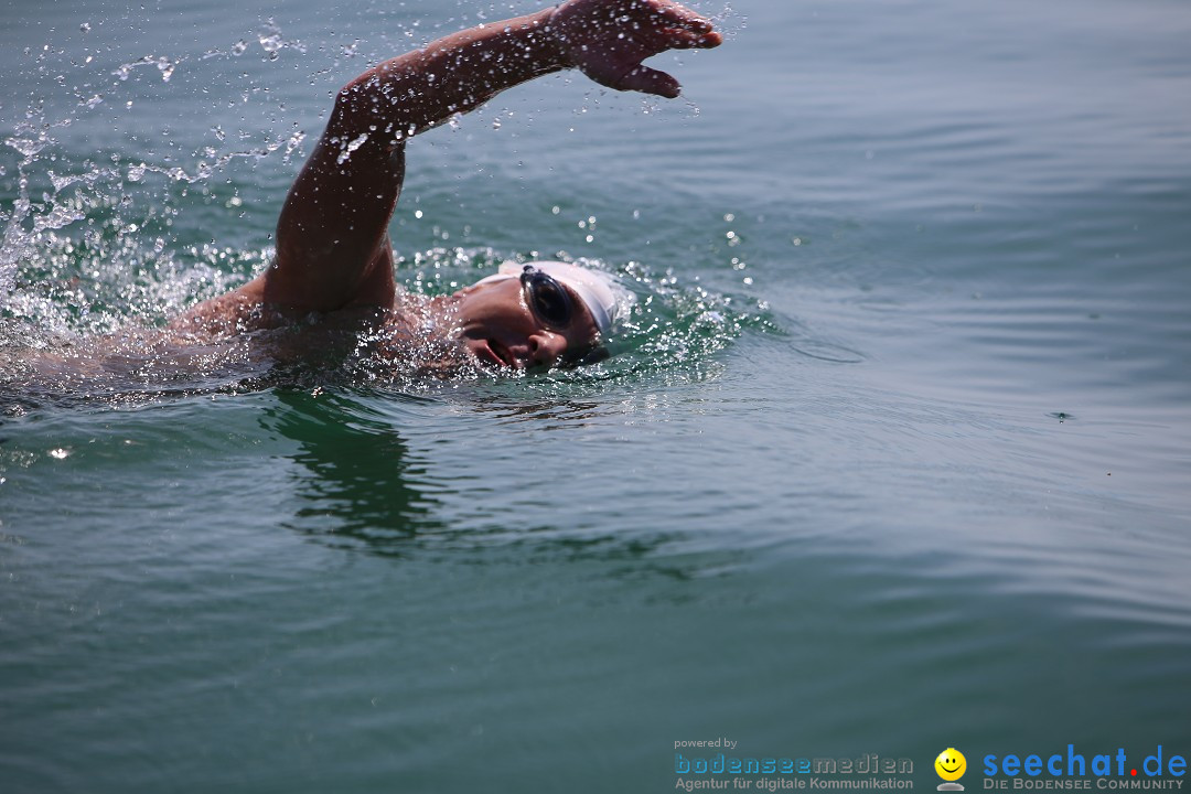 Bodenseequerung- seechat: Dr Stefan Jung: Friedrichshafen, 19.07.2014