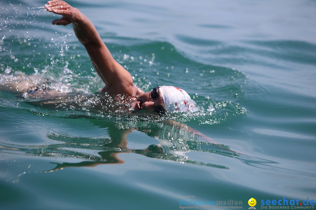 Bodenseequerung- seechat: Dr Stefan Jung: Friedrichshafen, 19.07.2014