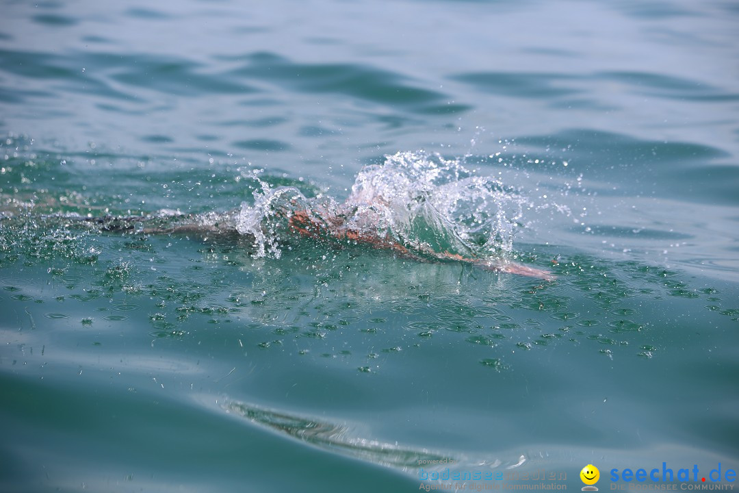 Bodenseequerung- seechat: Dr Stefan Jung: Friedrichshafen, 19.07.2014