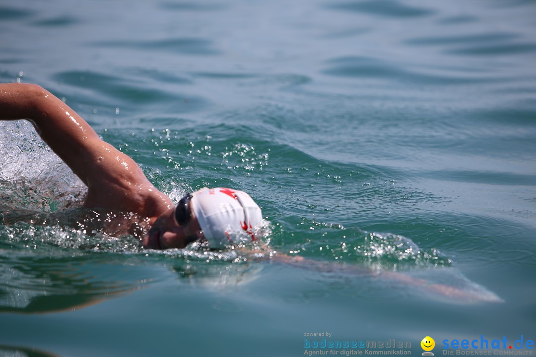 Bodenseequerung- seechat: Dr Stefan Jung: Friedrichshafen, 19.07.2014