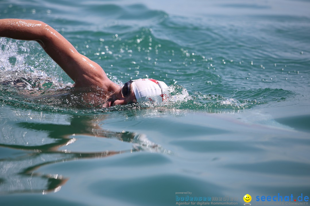 Bodenseequerung- seechat: Dr Stefan Jung: Friedrichshafen, 19.07.2014