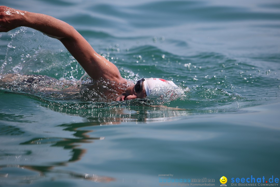 Bodenseequerung- seechat: Dr Stefan Jung: Friedrichshafen, 19.07.2014