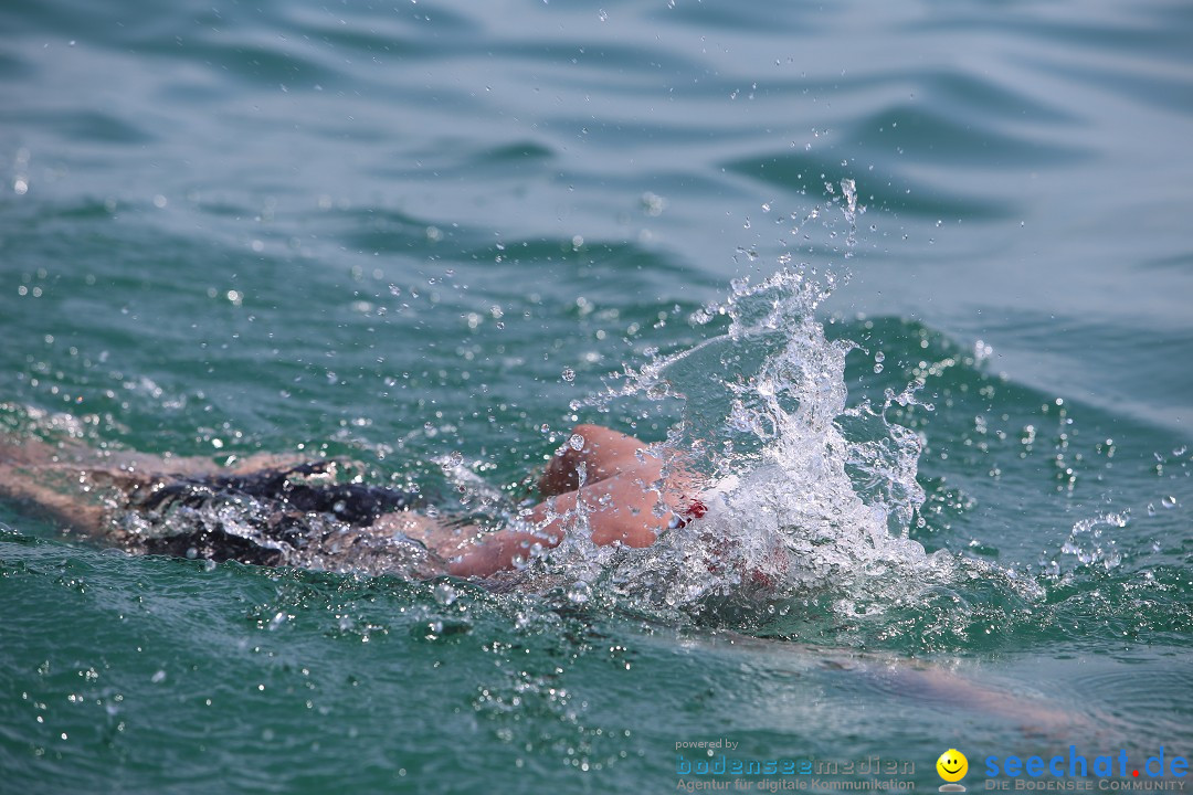 Bodenseequerung- seechat: Dr Stefan Jung: Friedrichshafen, 19.07.2014