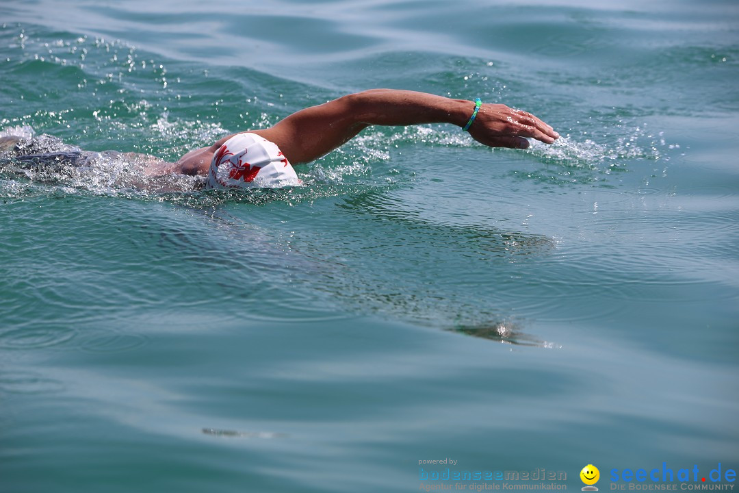 Bodenseequerung- seechat: Dr Stefan Jung: Friedrichshafen, 19.07.2014