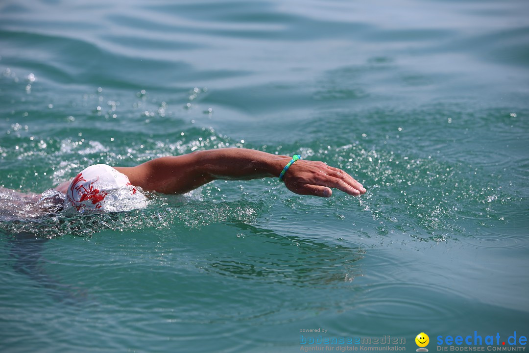 Bodenseequerung- seechat: Dr Stefan Jung: Friedrichshafen, 19.07.2014