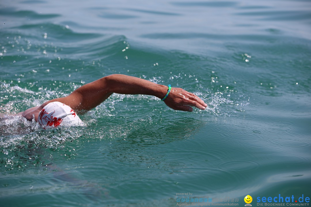 Bodenseequerung- seechat: Dr Stefan Jung: Friedrichshafen, 19.07.2014