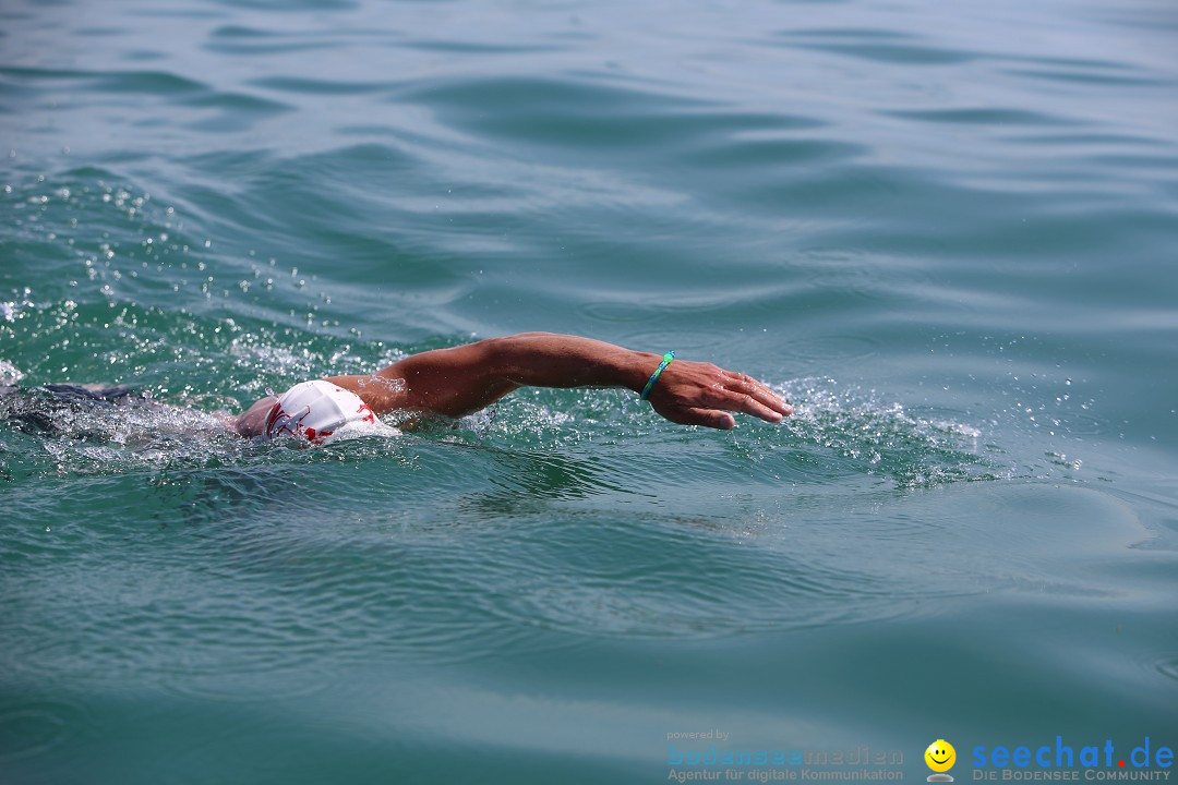 Bodenseequerung- seechat: Dr Stefan Jung: Friedrichshafen, 19.07.2014