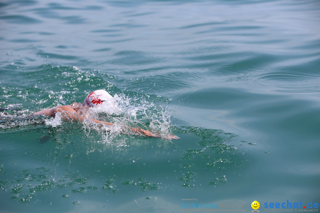 Bodenseequerung- seechat: Dr Stefan Jung: Friedrichshafen, 19.07.2014