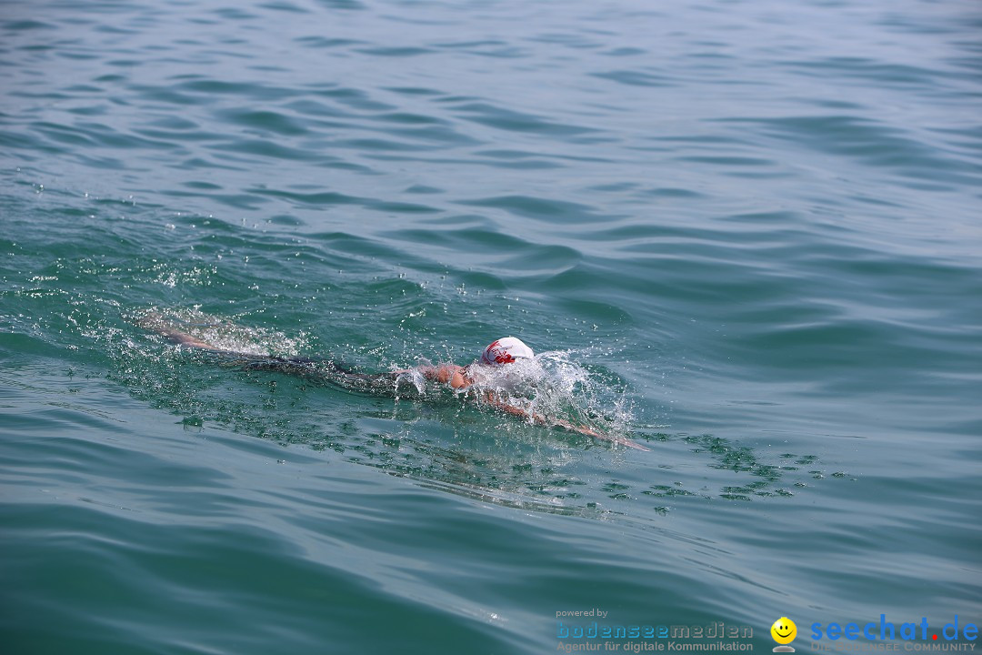 Bodenseequerung- seechat: Dr Stefan Jung: Friedrichshafen, 19.07.2014