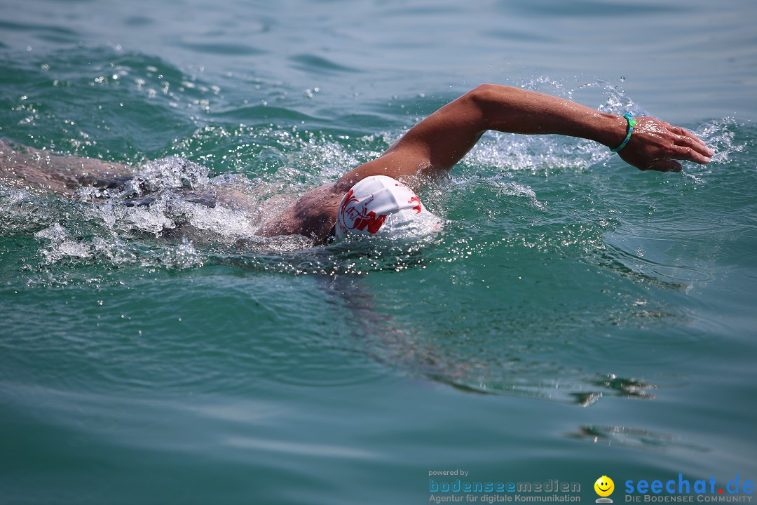 Bodenseequerung- seechat: Dr Stefan Jung: Friedrichshafen, 19.07.2014