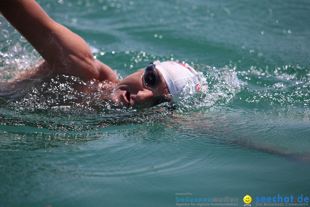 Bodenseequerung- seechat: Dr Stefan Jung: Friedrichshafen, 19.07.2014