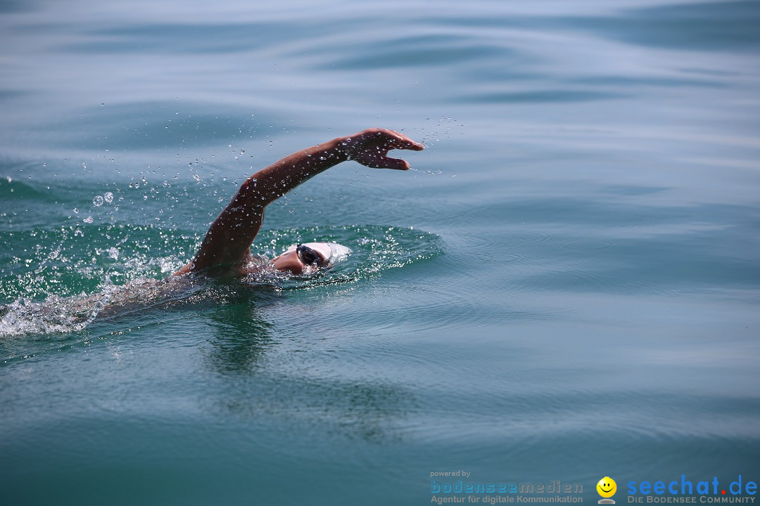 Bodenseequerung- seechat: Dr Stefan Jung: Friedrichshafen, 19.07.2014