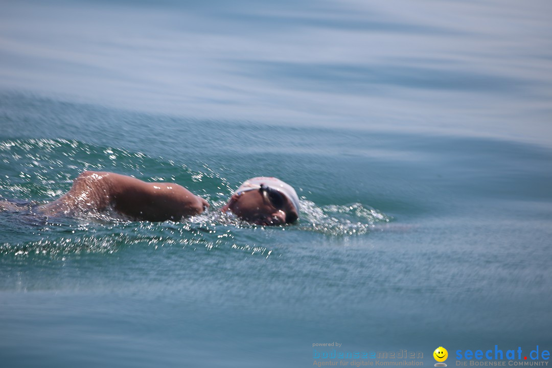 Bodenseequerung- seechat: Dr Stefan Jung: Friedrichshafen, 19.07.2014