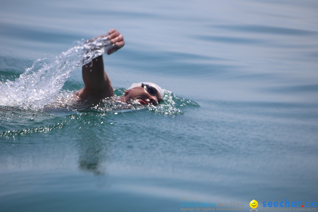 Bodenseequerung- seechat: Dr Stefan Jung: Friedrichshafen, 19.07.2014