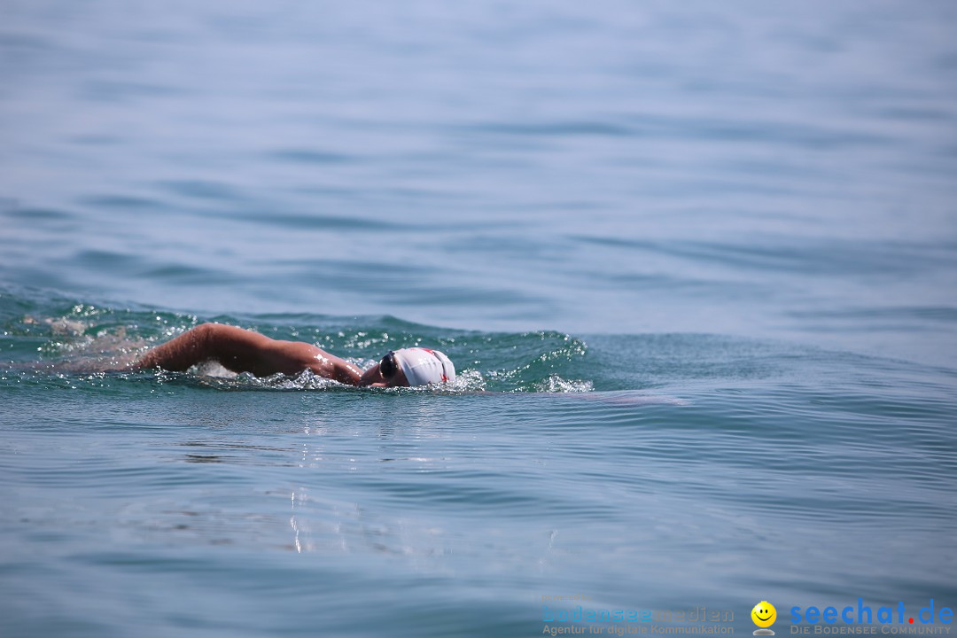 Bodenseequerung- seechat: Dr Stefan Jung: Friedrichshafen, 19.07.2014