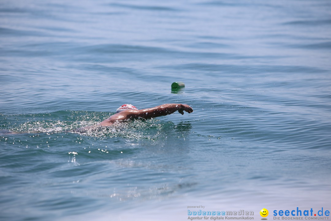 Bodenseequerung- seechat: Dr Stefan Jung: Friedrichshafen, 19.07.2014