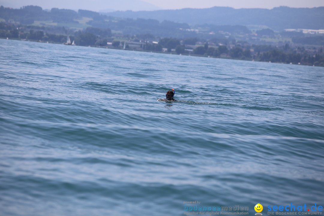 Bodenseequerung- seechat: Dr Stefan Jung: Friedrichshafen, 19.07.2014