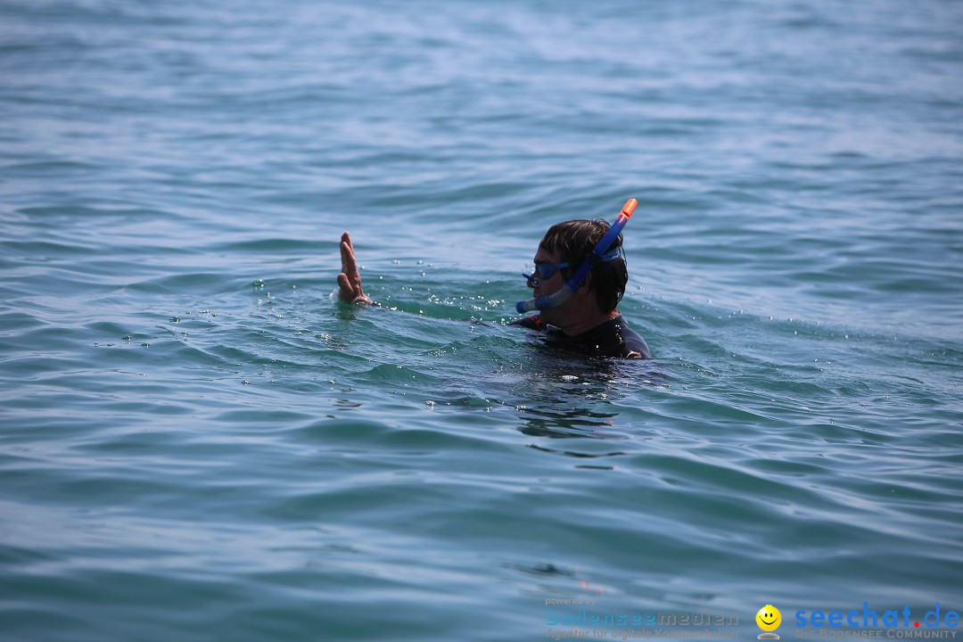 Bodenseequerung- seechat: Dr Stefan Jung: Friedrichshafen, 19.07.2014