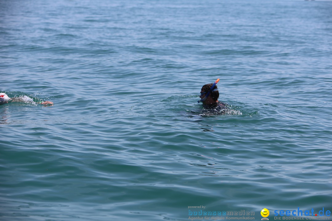 Bodenseequerung- seechat: Dr Stefan Jung: Friedrichshafen, 19.07.2014