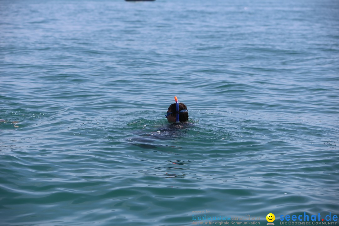 Bodenseequerung- seechat: Dr Stefan Jung: Friedrichshafen, 19.07.2014