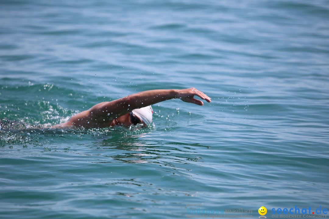 Bodenseequerung- seechat: Dr Stefan Jung: Friedrichshafen, 19.07.2014