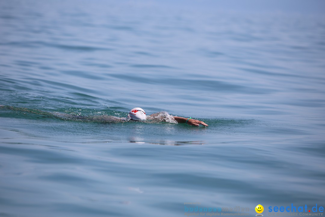 Bodenseequerung- seechat: Dr Stefan Jung: Friedrichshafen, 19.07.2014