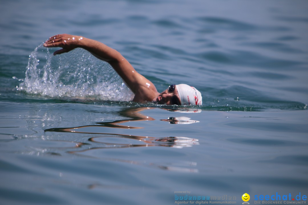 Bodenseequerung- seechat: Dr Stefan Jung: Friedrichshafen, 19.07.2014