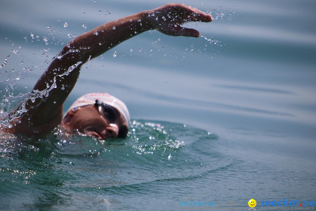 Bodenseequerung- seechat: Dr Stefan Jung: Friedrichshafen, 19.07.2014