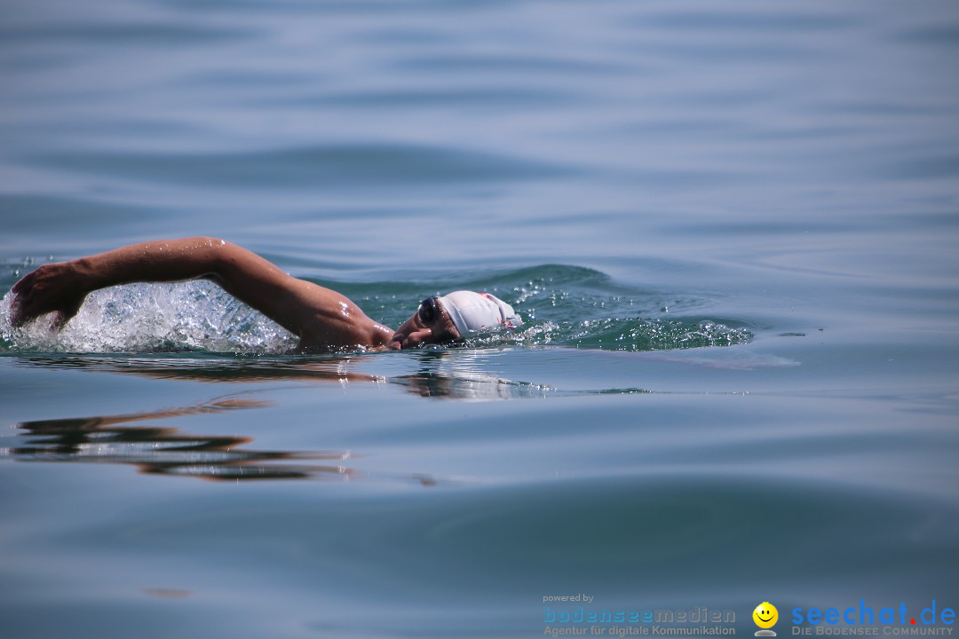 Bodenseequerung- seechat: Dr Stefan Jung: Friedrichshafen, 19.07.2014