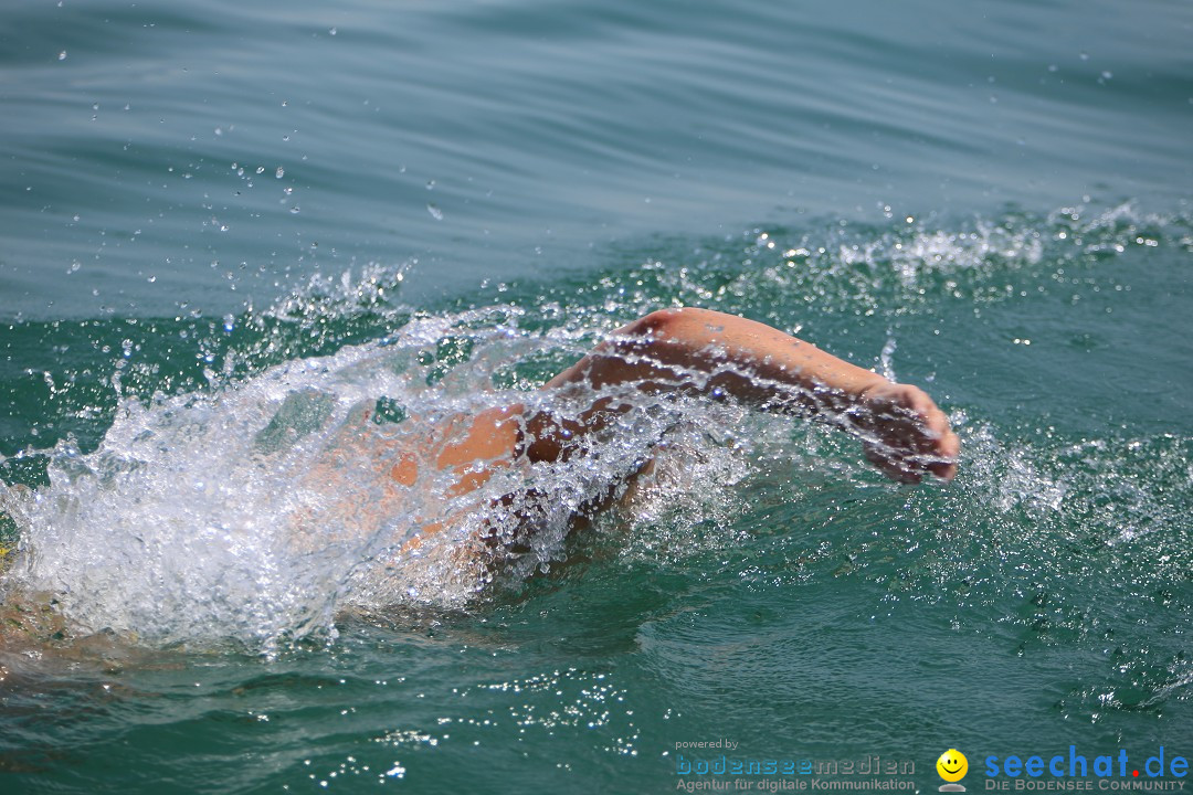 Bodenseequerung- seechat: Dr Stefan Jung: Friedrichshafen, 19.07.2014