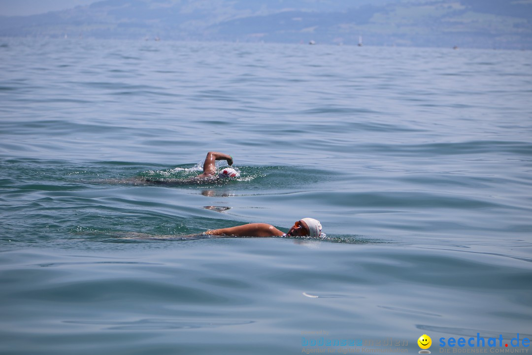 Bodenseequerung- seechat: Dr Stefan Jung: Friedrichshafen, 19.07.2014