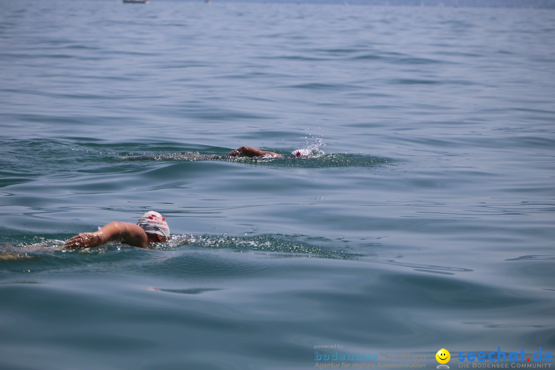 Bodenseequerung- seechat: Dr Stefan Jung: Friedrichshafen, 19.07.2014