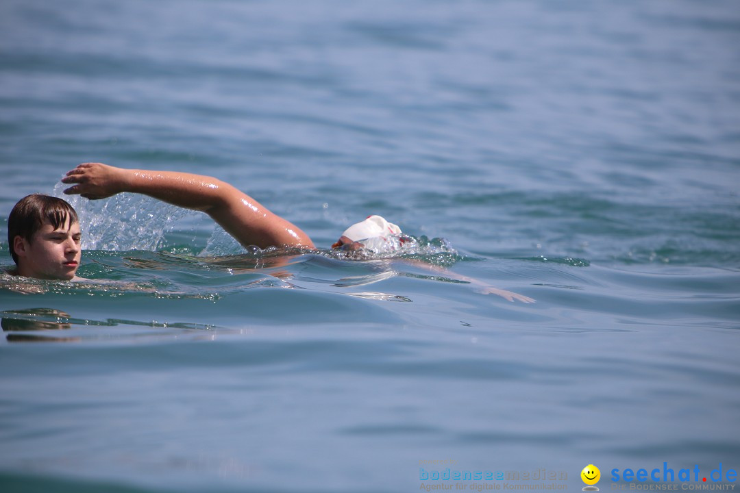 Bodenseequerung- seechat: Dr Stefan Jung: Friedrichshafen, 19.07.2014