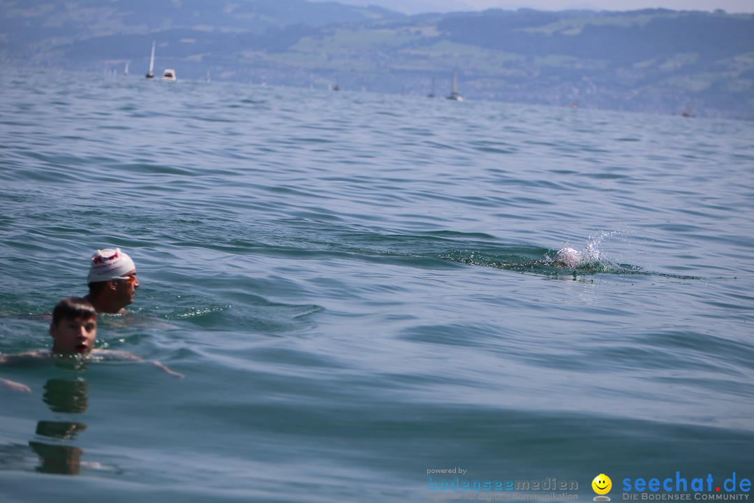 Bodenseequerung- seechat: Dr Stefan Jung: Friedrichshafen, 19.07.2014