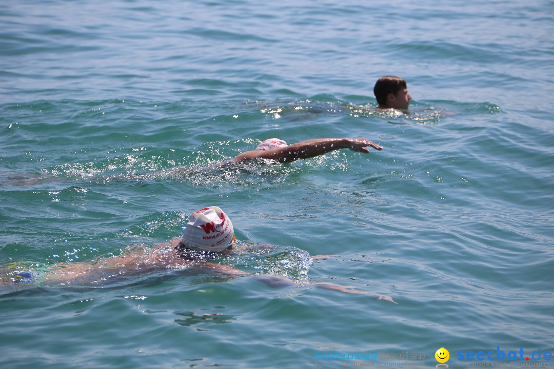 Bodenseequerung- seechat: Dr Stefan Jung: Friedrichshafen, 19.07.2014