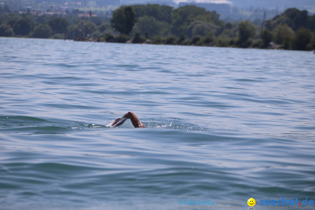 Bodenseequerung- seechat: Dr Stefan Jung: Friedrichshafen, 19.07.2014