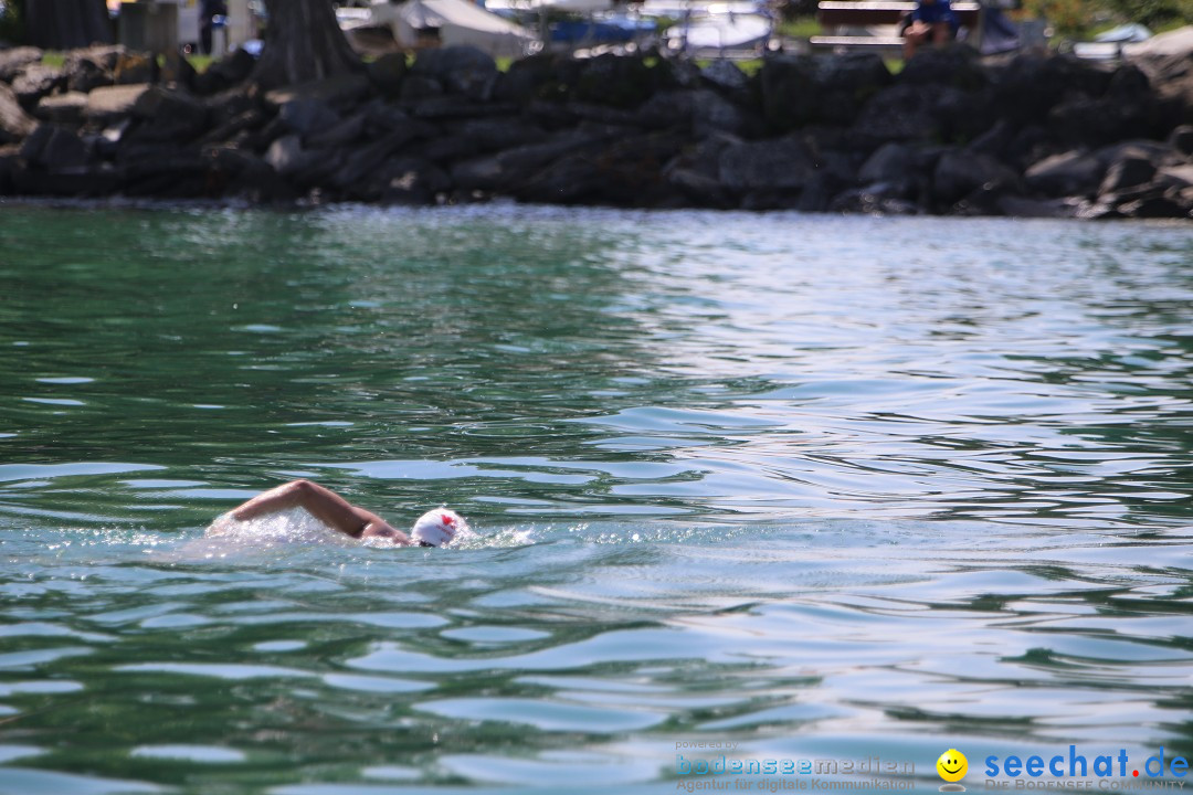 Bodenseequerung- seechat: Dr Stefan Jung: Friedrichshafen, 19.07.2014