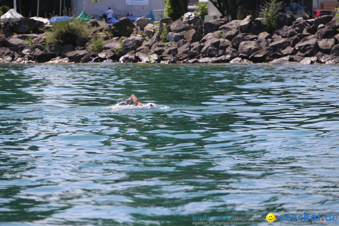 Bodenseequerung- seechat: Dr Stefan Jung: Friedrichshafen, 19.07.2014