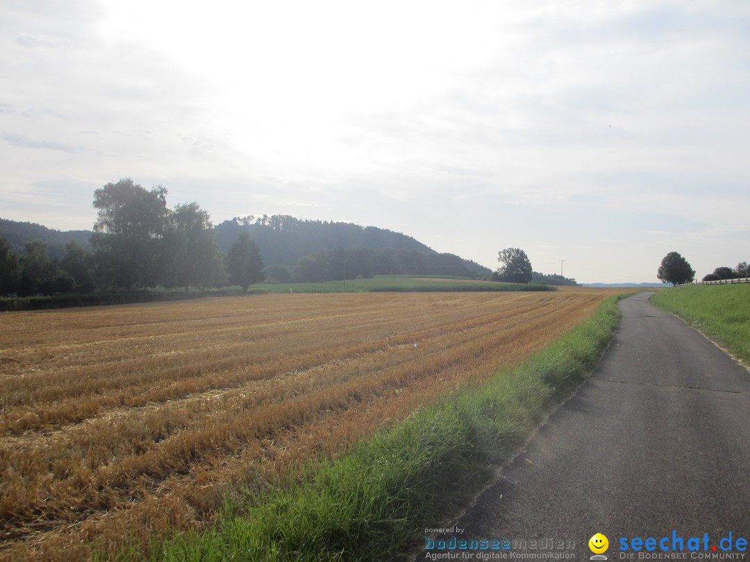 Volksmarsch 10KM und 5KM: Zizenhausen am Bodensee, 20.07.2014