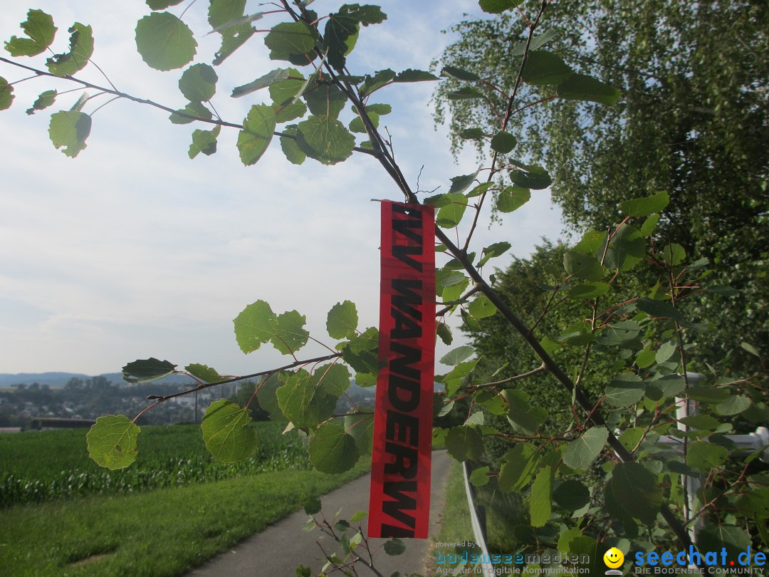 Volksmarsch 10KM und 5KM: Zizenhausen am Bodensee, 20.07.2014