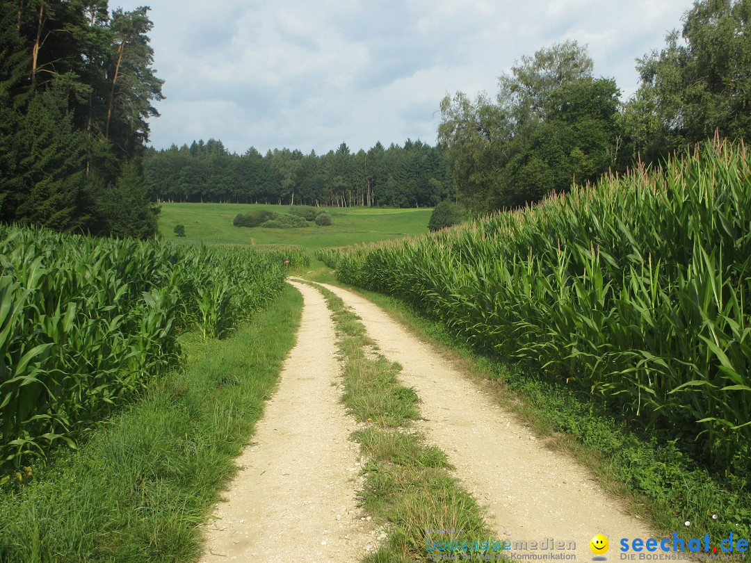 Volksmarsch 10KM und 5KM: Zizenhausen am Bodensee, 20.07.2014