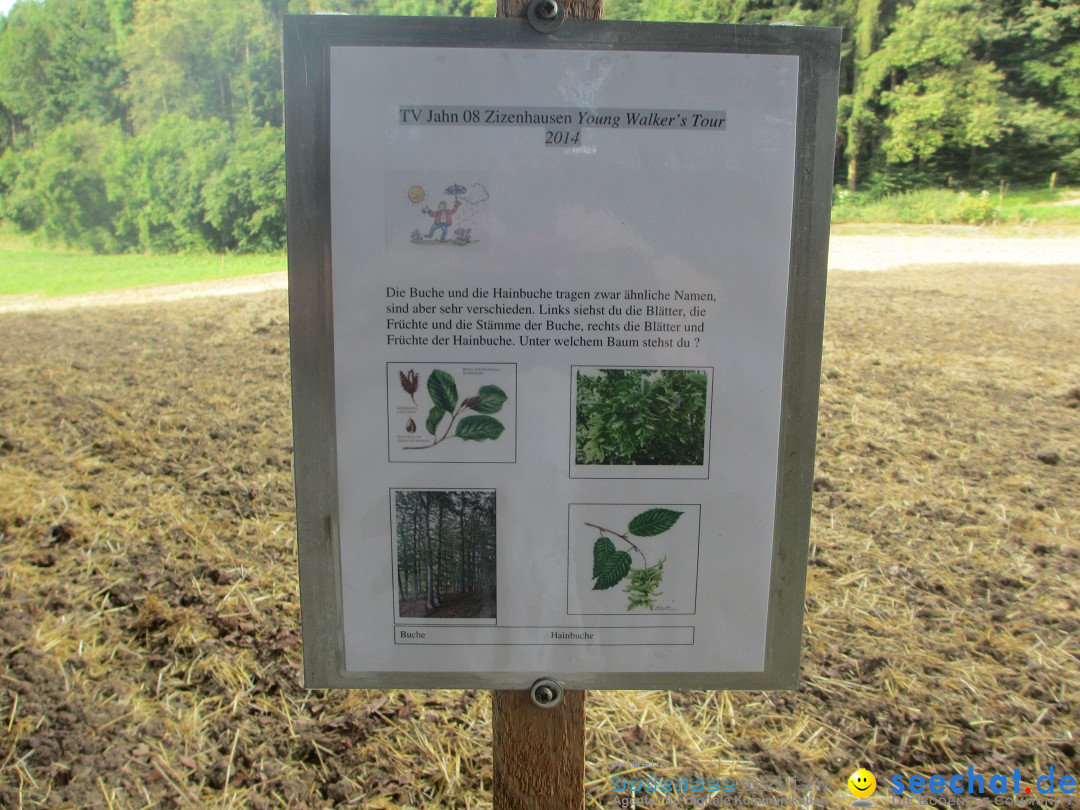 Volksmarsch 10KM und 5KM: Zizenhausen am Bodensee, 20.07.2014