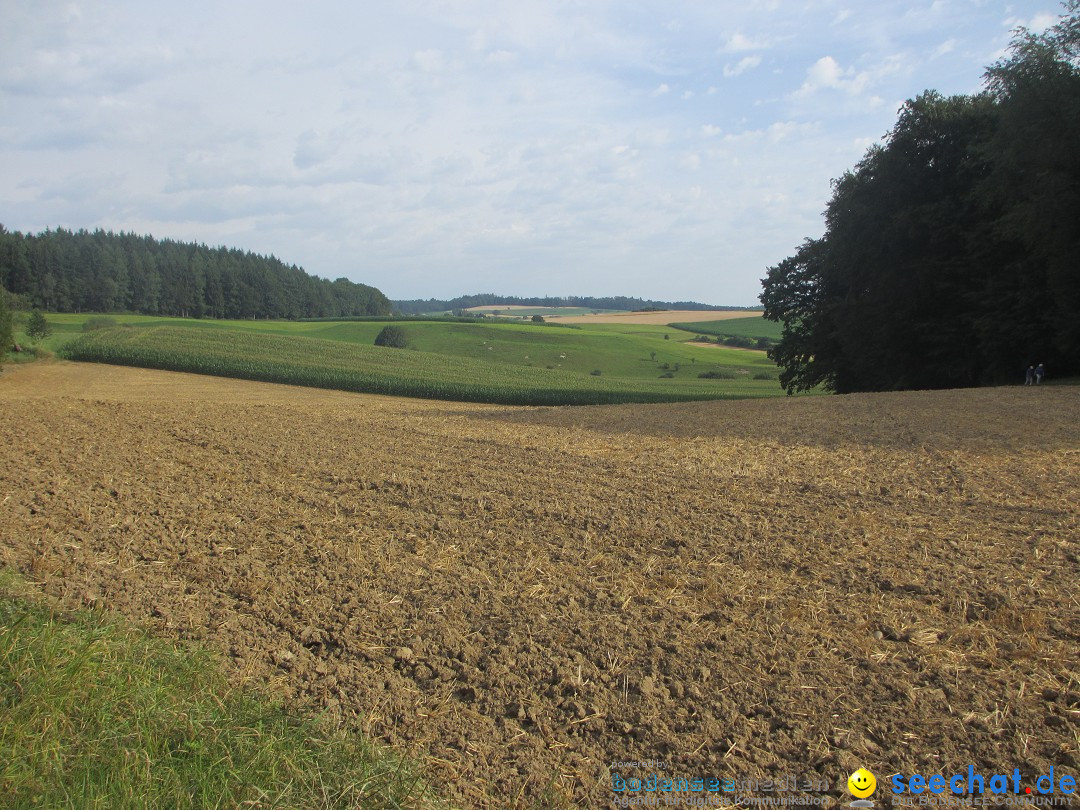 Volksmarsch 10KM und 5KM: Zizenhausen am Bodensee, 20.07.2014