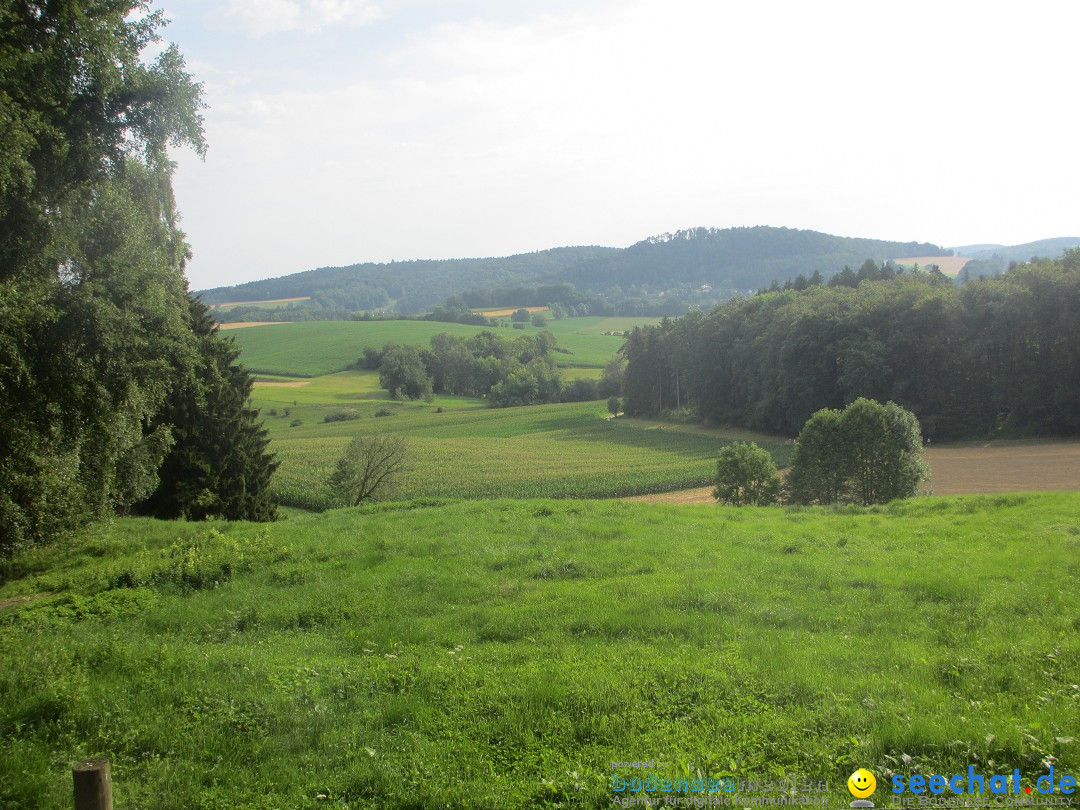 Volksmarsch 10KM und 5KM: Zizenhausen am Bodensee, 20.07.2014