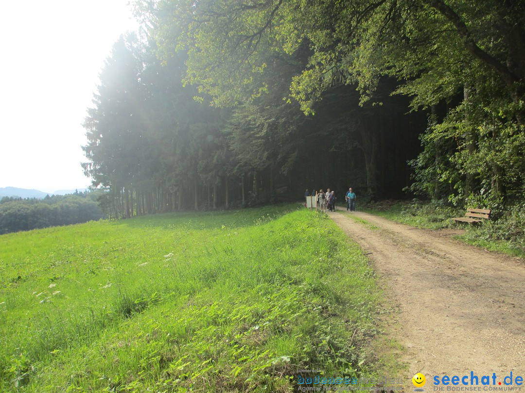 Volksmarsch 10KM und 5KM: Zizenhausen am Bodensee, 20.07.2014