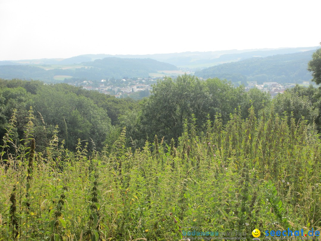 Volksmarsch 10KM und 5KM: Zizenhausen am Bodensee, 20.07.2014