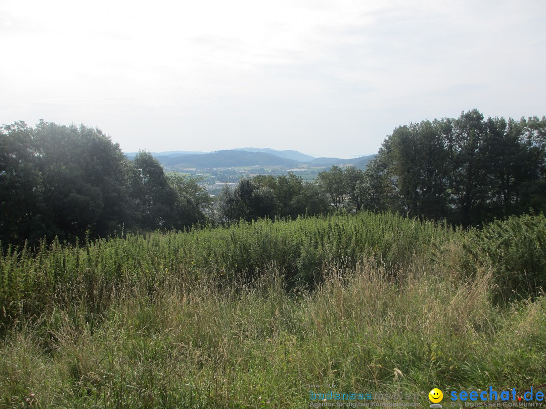 Volksmarsch 10KM und 5KM: Zizenhausen am Bodensee, 20.07.2014