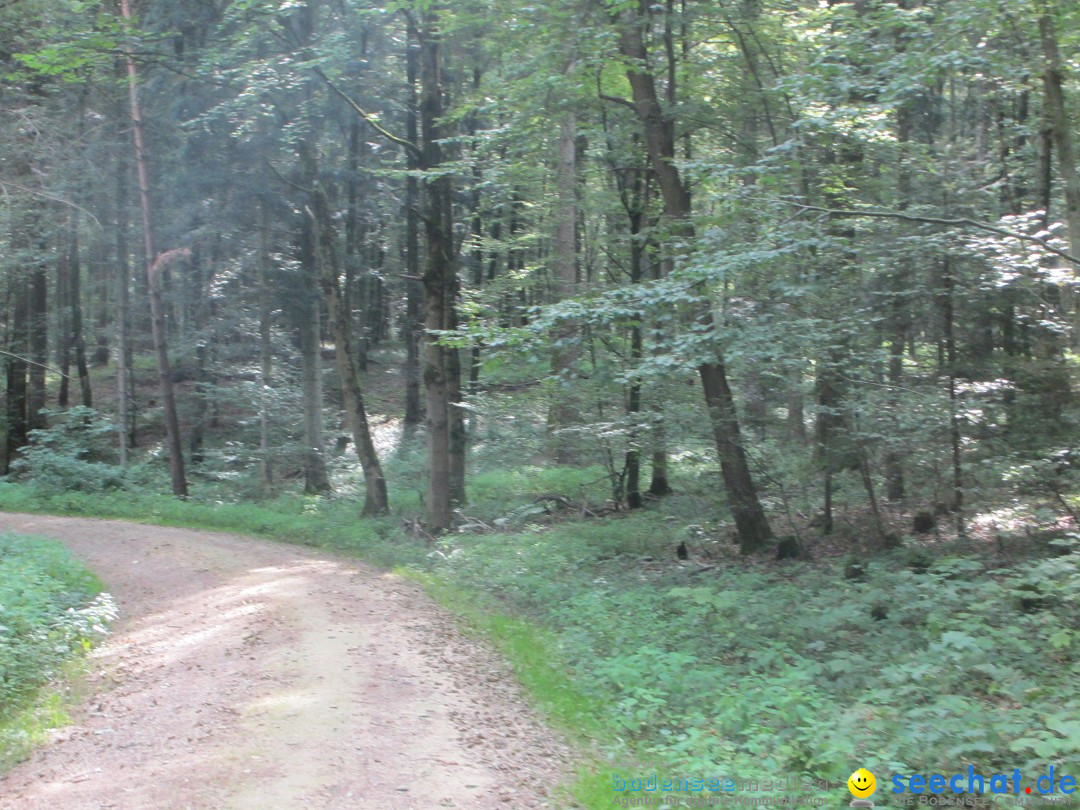 Volksmarsch 10KM und 5KM: Zizenhausen am Bodensee, 20.07.2014