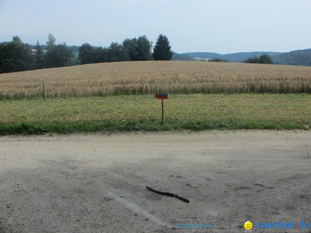 Volksmarsch 10KM und 5KM: Zizenhausen am Bodensee, 20.07.2014