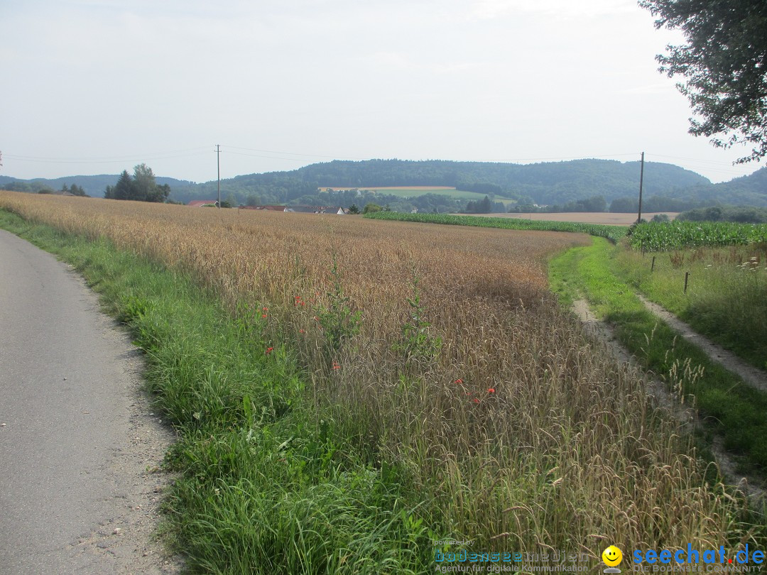 Volksmarsch 10KM und 5KM: Zizenhausen am Bodensee, 20.07.2014